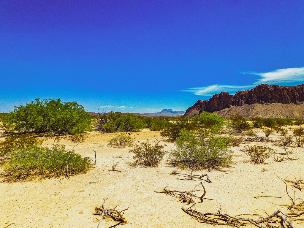 16050 West Rd, Terlingua, Texas image 4