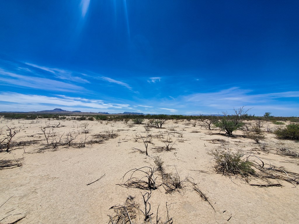 16050 West Rd, Terlingua, Texas image 9