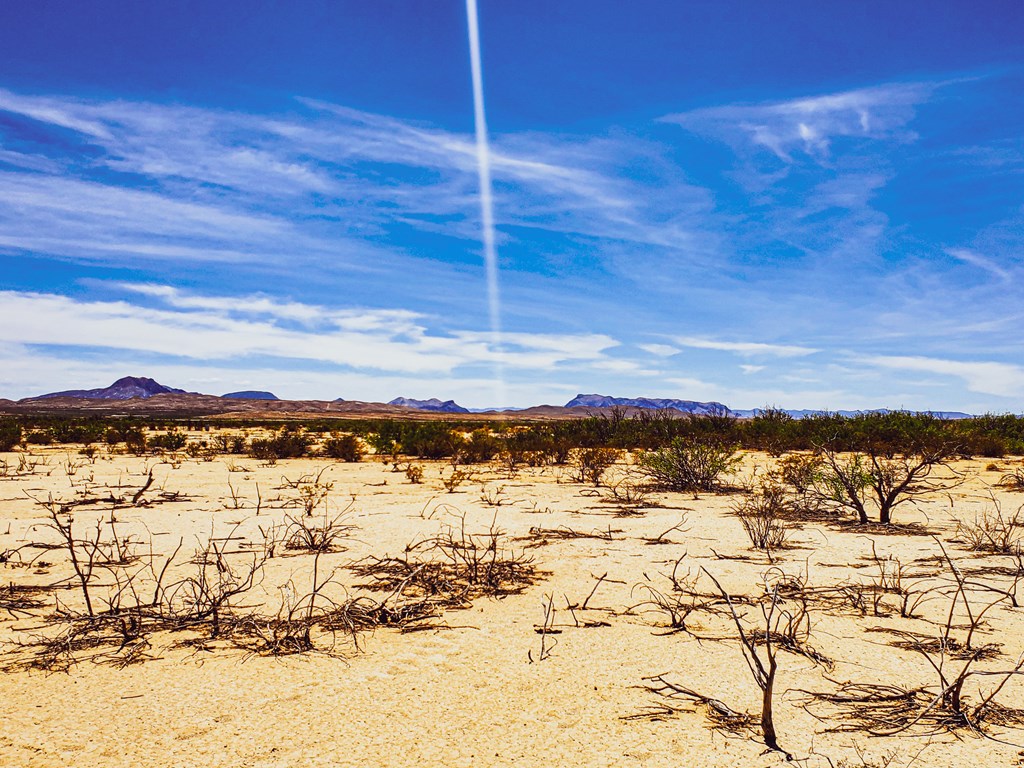 16050 West Rd, Terlingua, Texas image 10