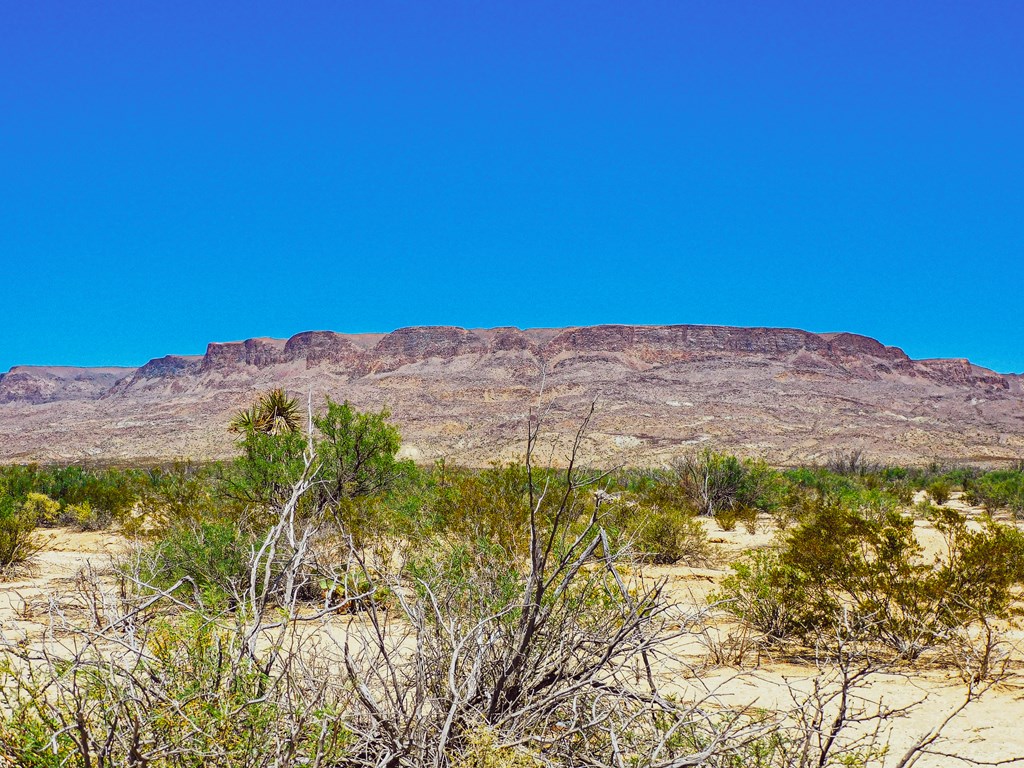 16050 West Rd, Terlingua, Texas image 6