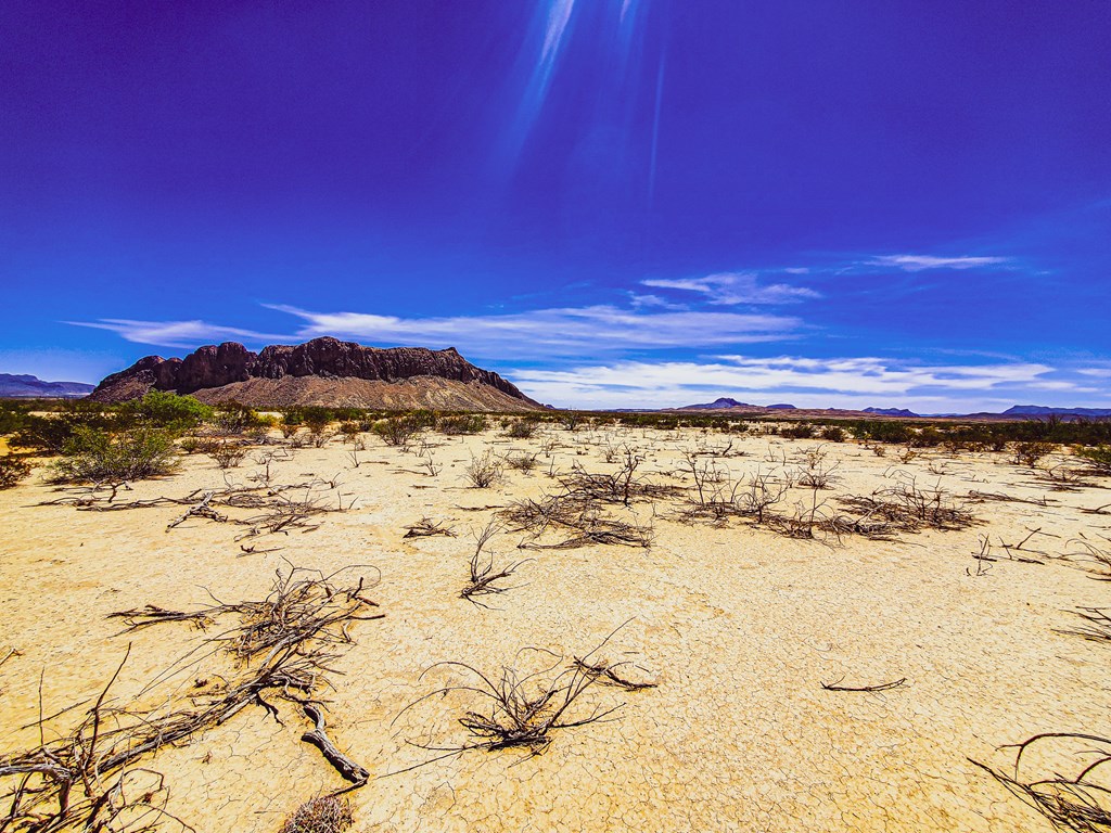 16050 West Rd, Terlingua, Texas image 11