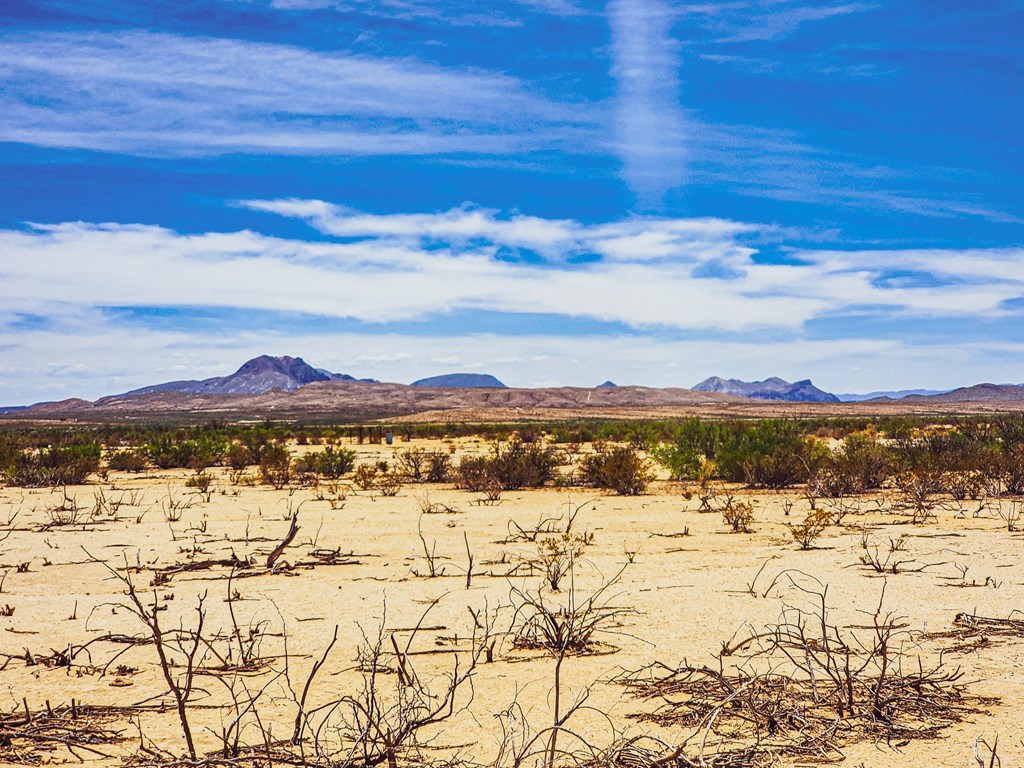 16050 West Rd, Terlingua, Texas image 3