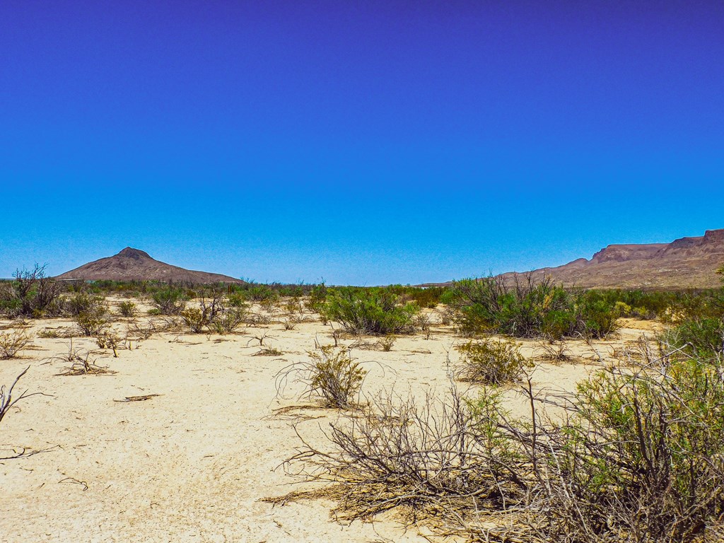 16050 West Rd, Terlingua, Texas image 12