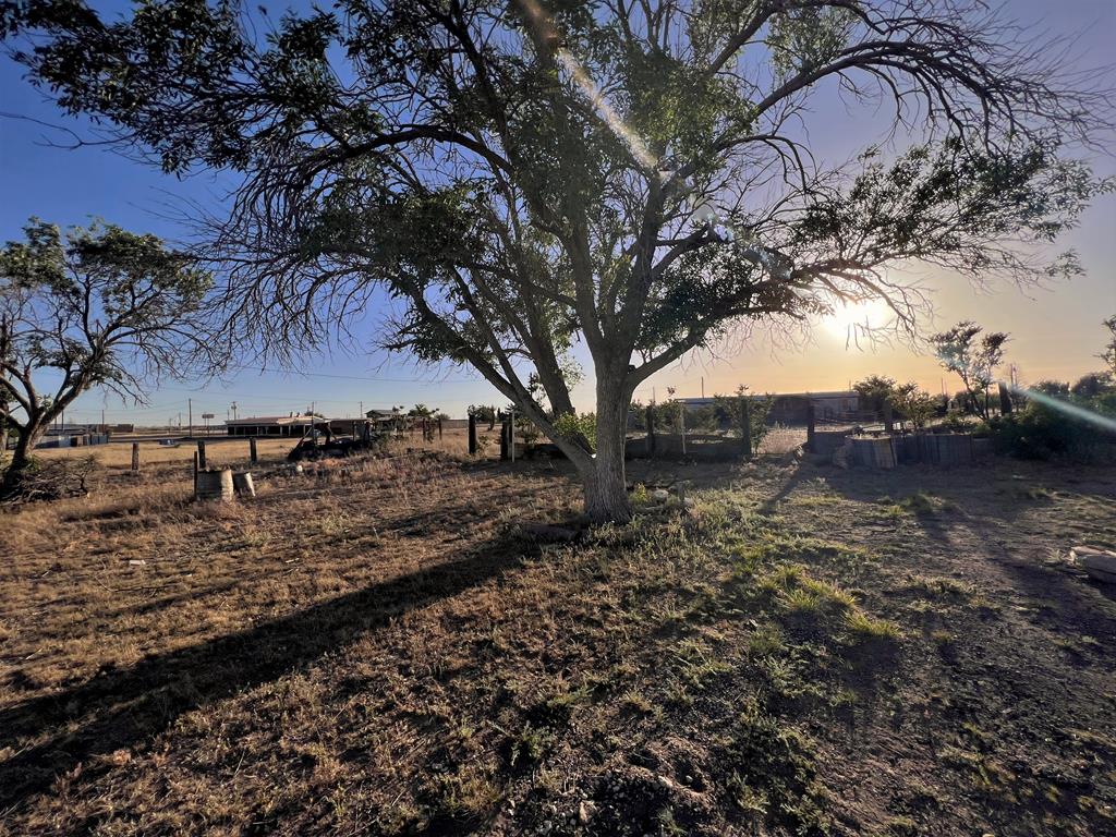 200 S Hartford St, Marfa, Texas image 23