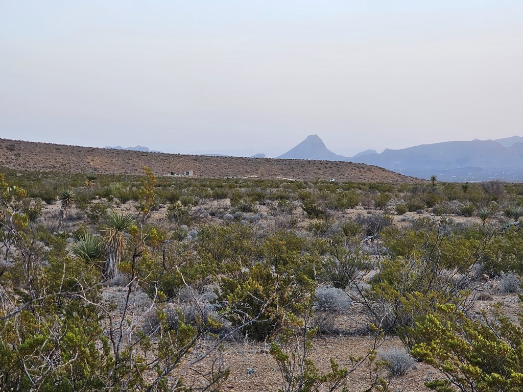 5239 Black Hill Rd, Terlingua, Texas image 16