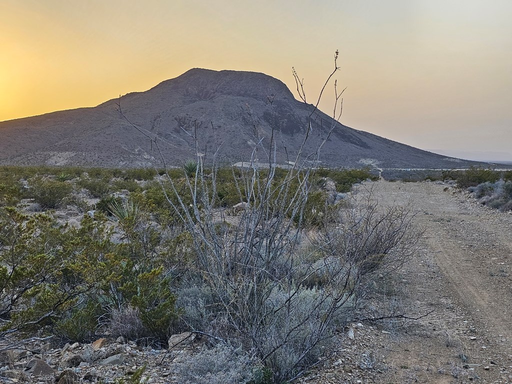 5239 Black Hill Rd, Terlingua, Texas image 2