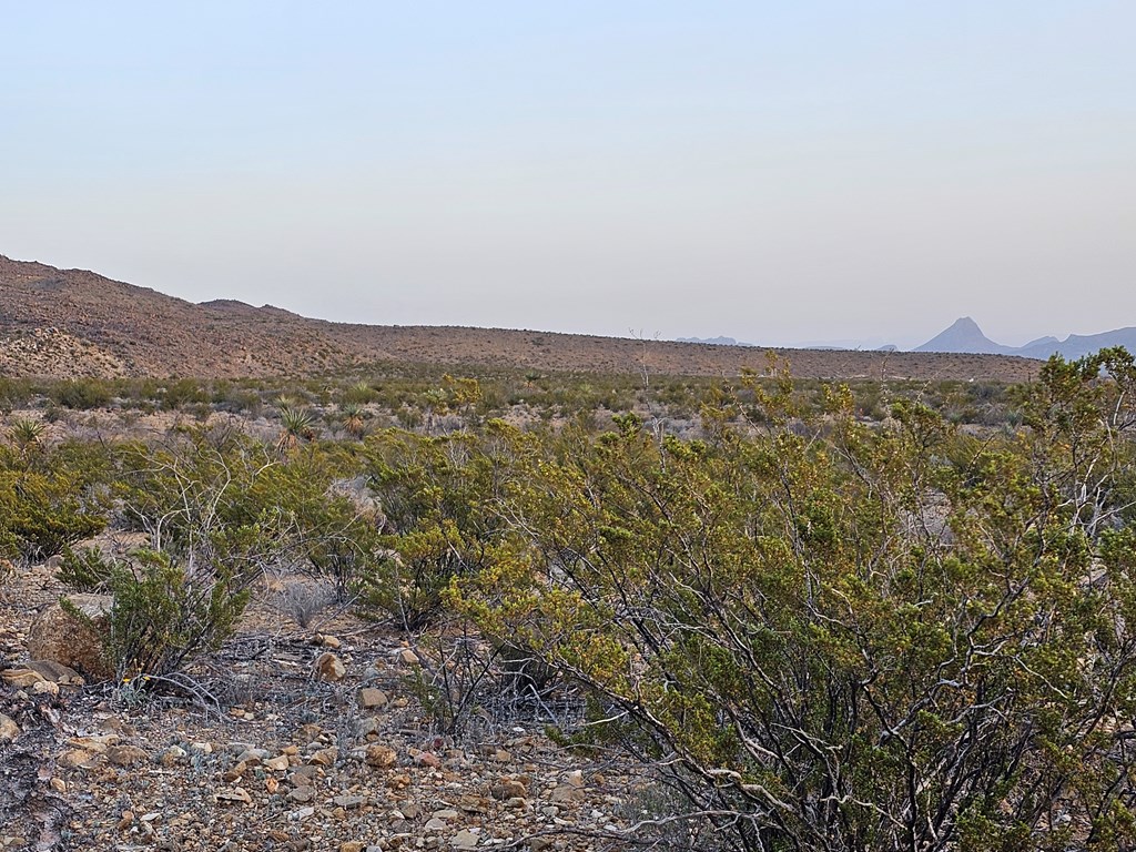 5239 Black Hill Rd, Terlingua, Texas image 26