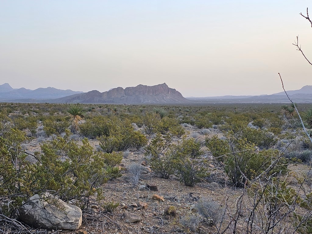 5239 Black Hill Rd, Terlingua, Texas image 28