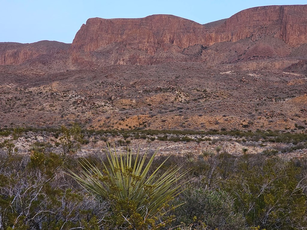 5239 Black Hill Rd, Terlingua, Texas image 4