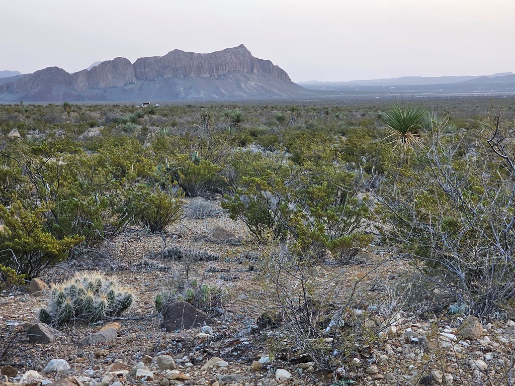 5239 Black Hill Rd, Terlingua, Texas image 14