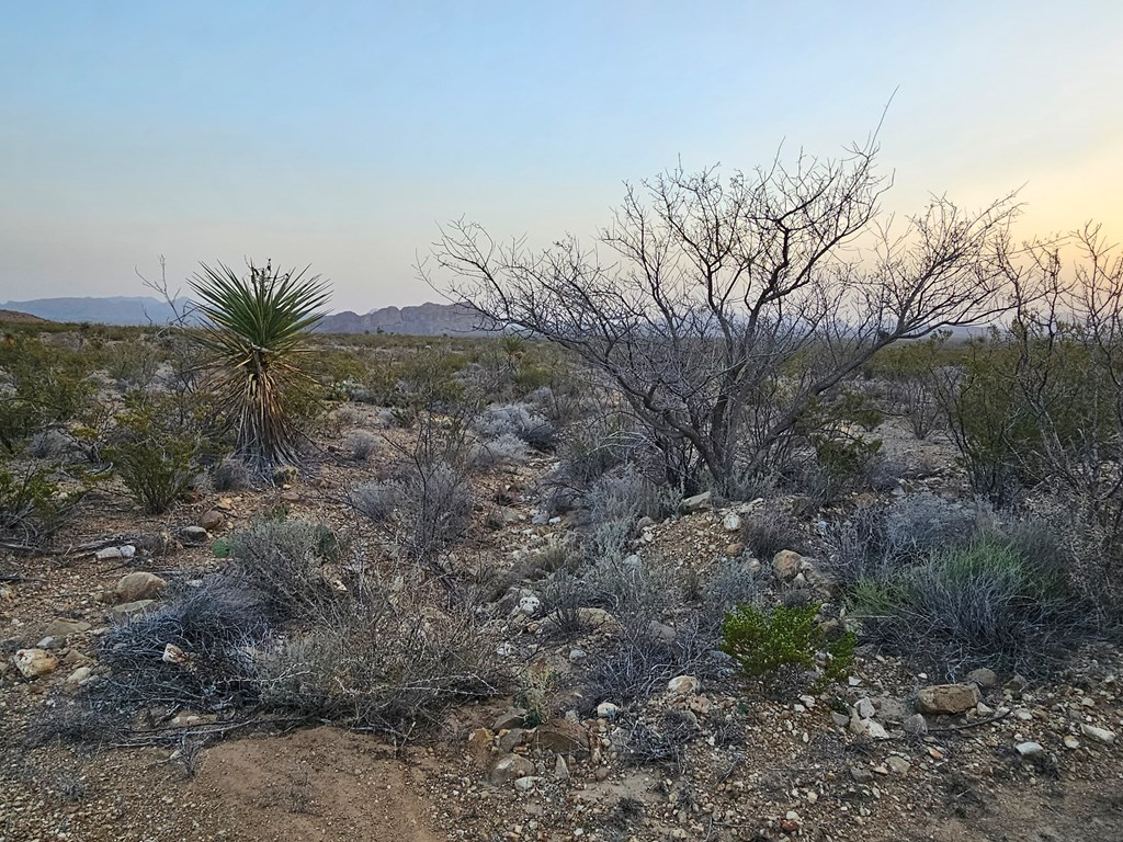 5239 Black Hill Rd, Terlingua, Texas image 12