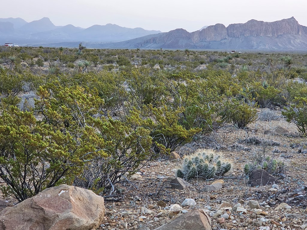 5239 Black Hill Rd, Terlingua, Texas image 3