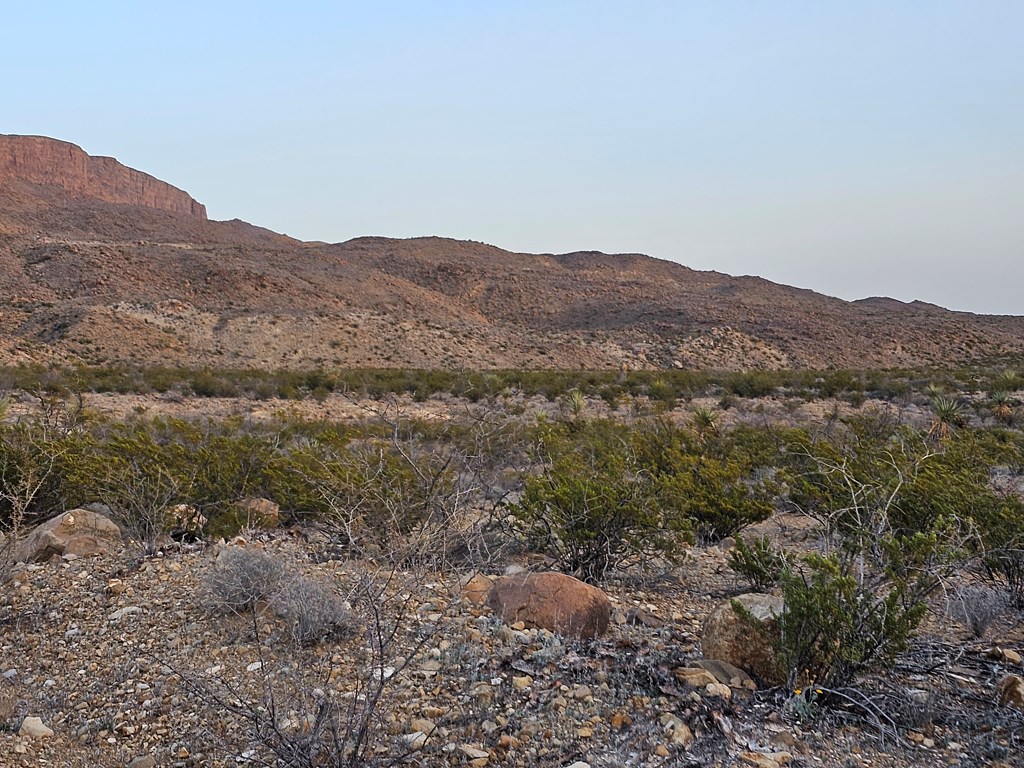 5239 Black Hill Rd, Terlingua, Texas image 25