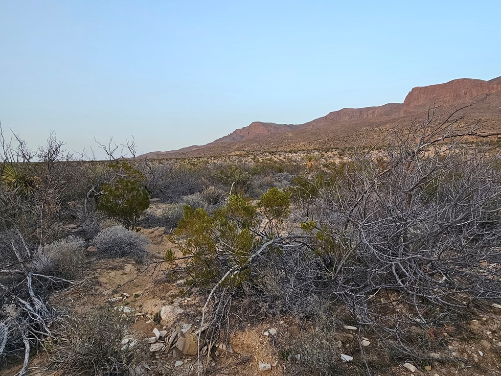 5239 Black Hill Rd, Terlingua, Texas image 11