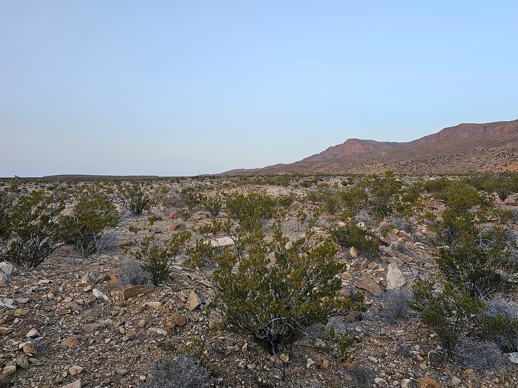 5239 Black Hill Rd, Terlingua, Texas image 9