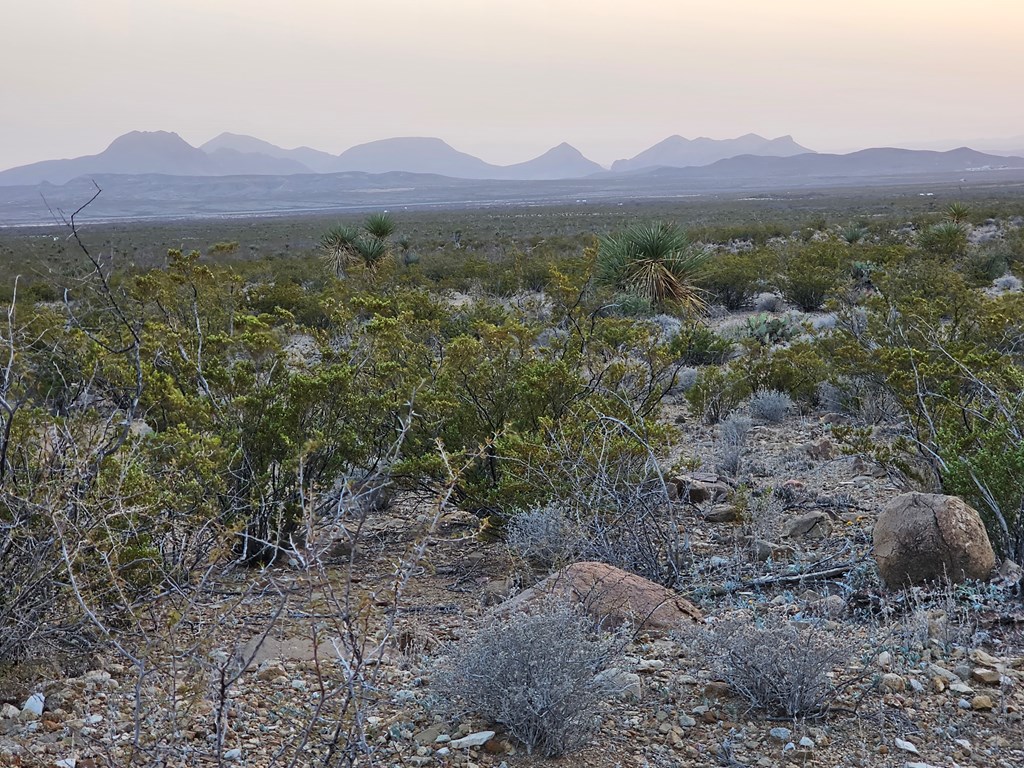 5239 Black Hill Rd, Terlingua, Texas image 13