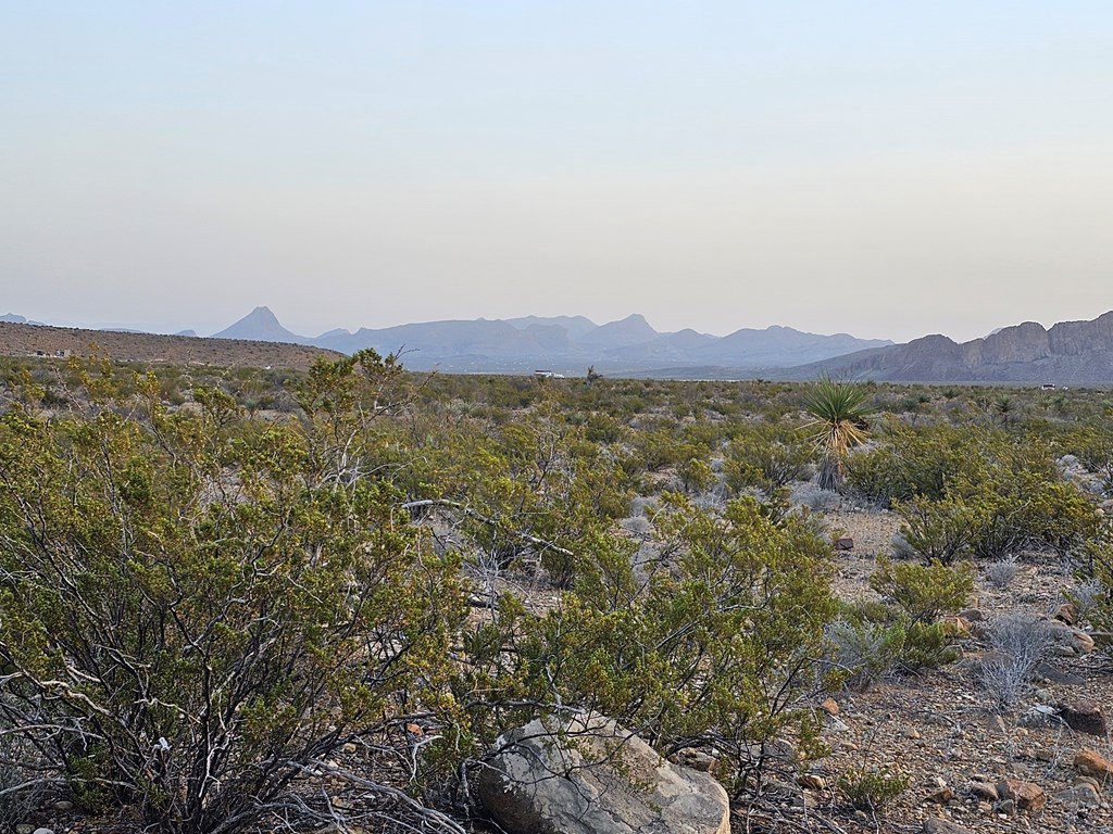 5239 Black Hill Rd, Terlingua, Texas image 27