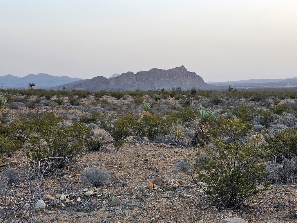 5239 Black Hill Rd, Terlingua, Texas image 10