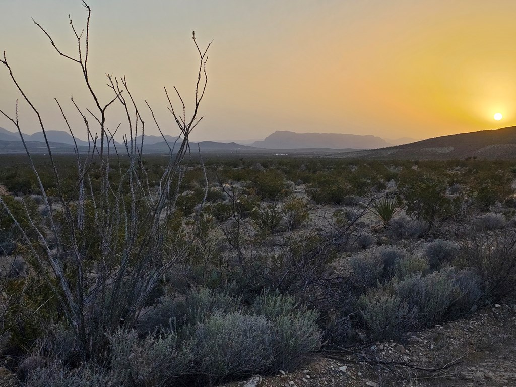 5239 Black Hill Rd, Terlingua, Texas image 30