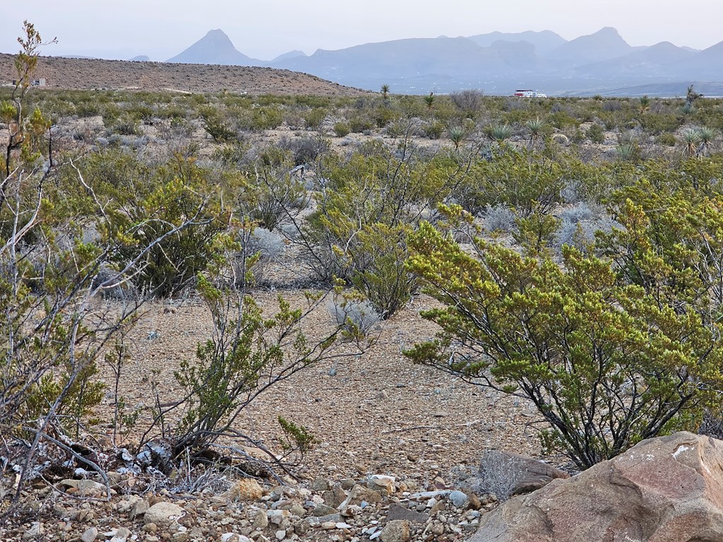 5239 Black Hill Rd, Terlingua, Texas image 15