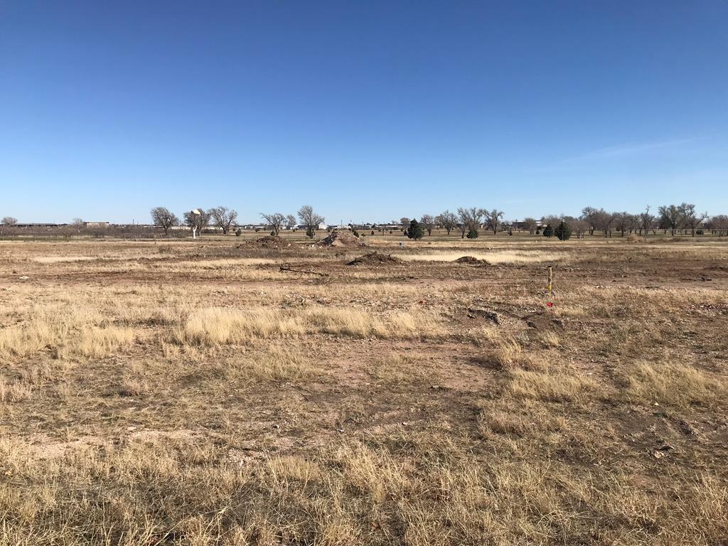 Lot9 TBD N County Road West, Odessa, Texas image 1