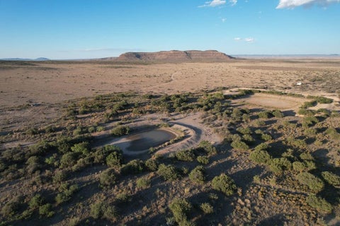 Vacant Land For Sale - 27 Bridle Path Run<br/> Sierra Blanca, TX 79851