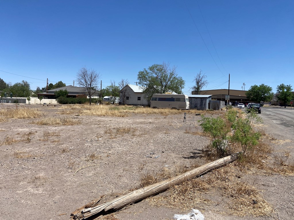 309 W First Street, Marfa, Texas image 5