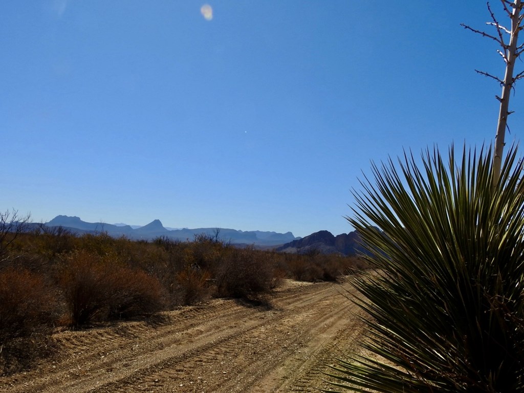 694 Antonio Road, Terlingua, Texas image 6