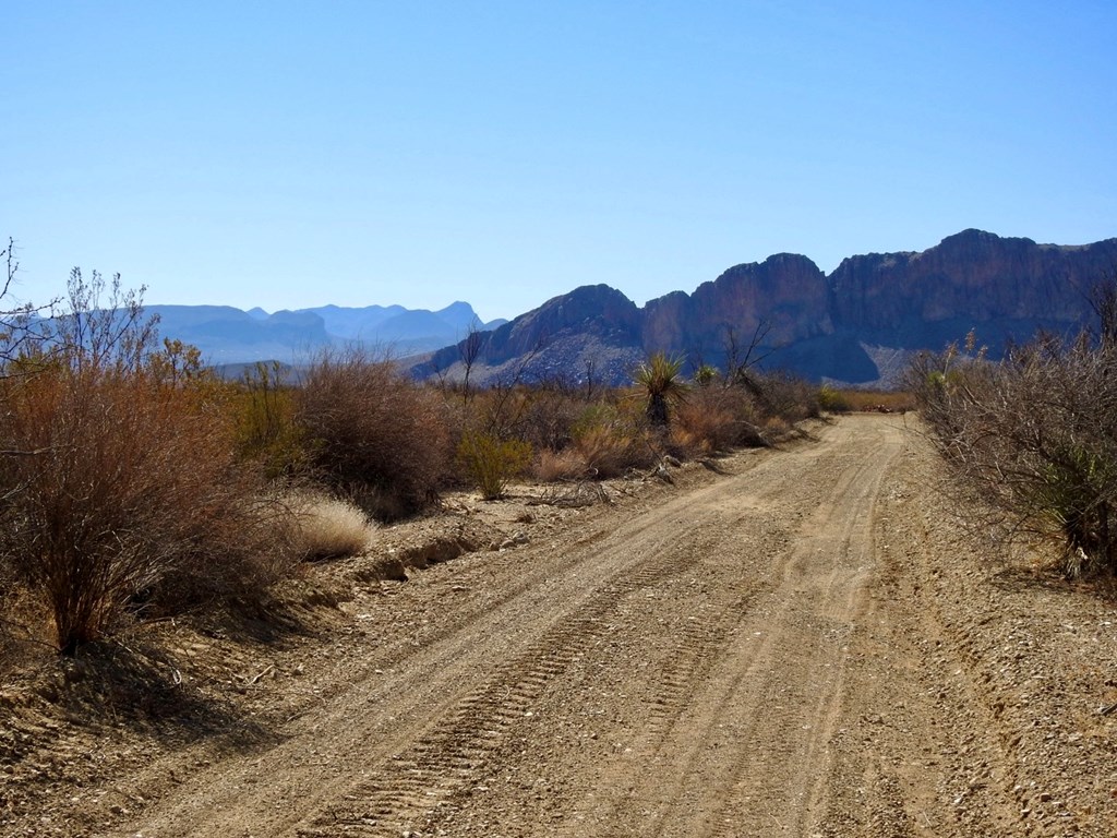 694 Antonio Road, Terlingua, Texas image 10