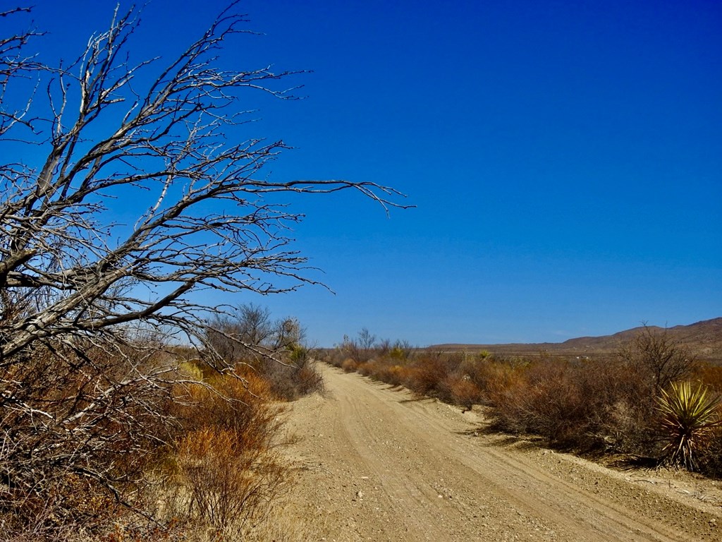 694 Antonio Road, Terlingua, Texas image 12