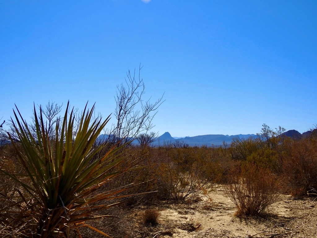 694 Antonio Road, Terlingua, Texas image 3