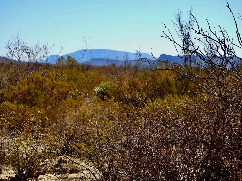 694 Antonio Road, Terlingua, Texas image 11