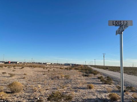 Vacant Land For Sale - 000 Blanton Lane<br/> Crane County, Odessa, TX 79766