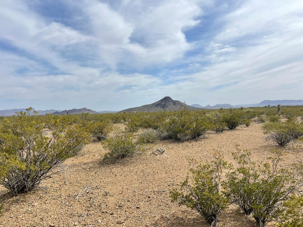 TR 4749 Private Rd, Terlingua, Texas image 17