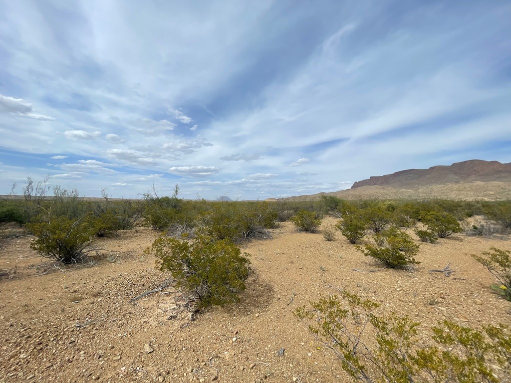 TR 4749 Private Rd, Terlingua, Texas image 7