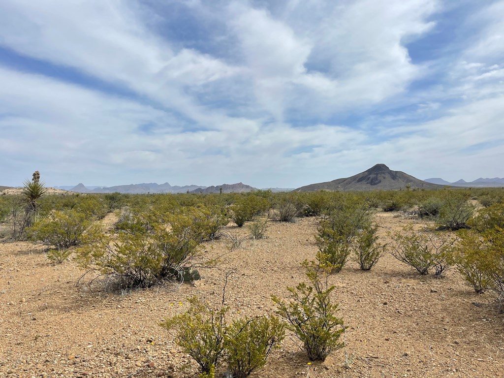 TR 4749 Private Rd, Terlingua, Texas image 13