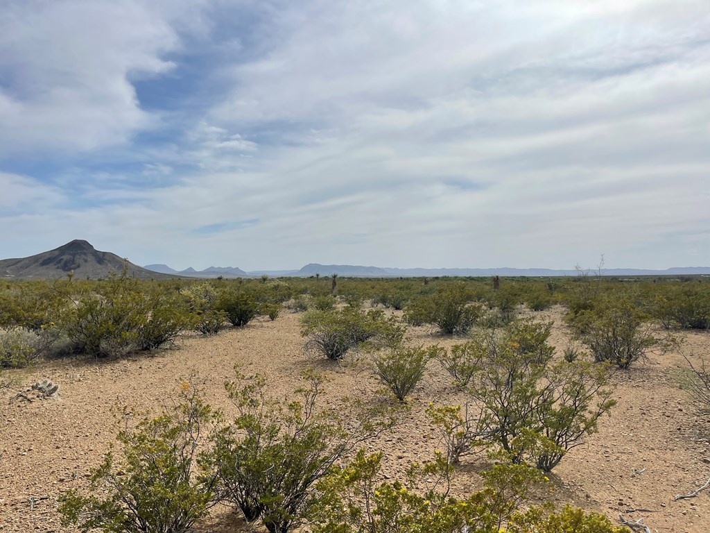 TR 4749 Private Rd, Terlingua, Texas image 16