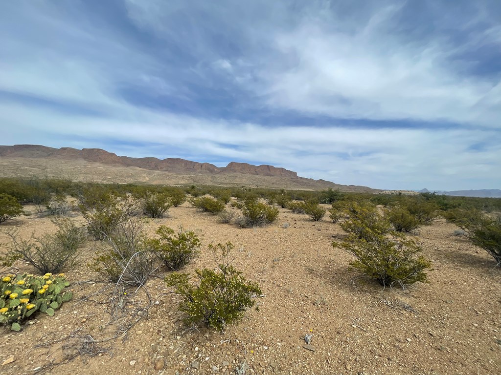 TR 4749 Private Rd, Terlingua, Texas image 4