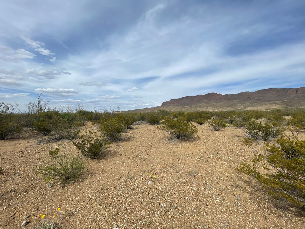 TR 4749 Private Rd, Terlingua, Texas image 9