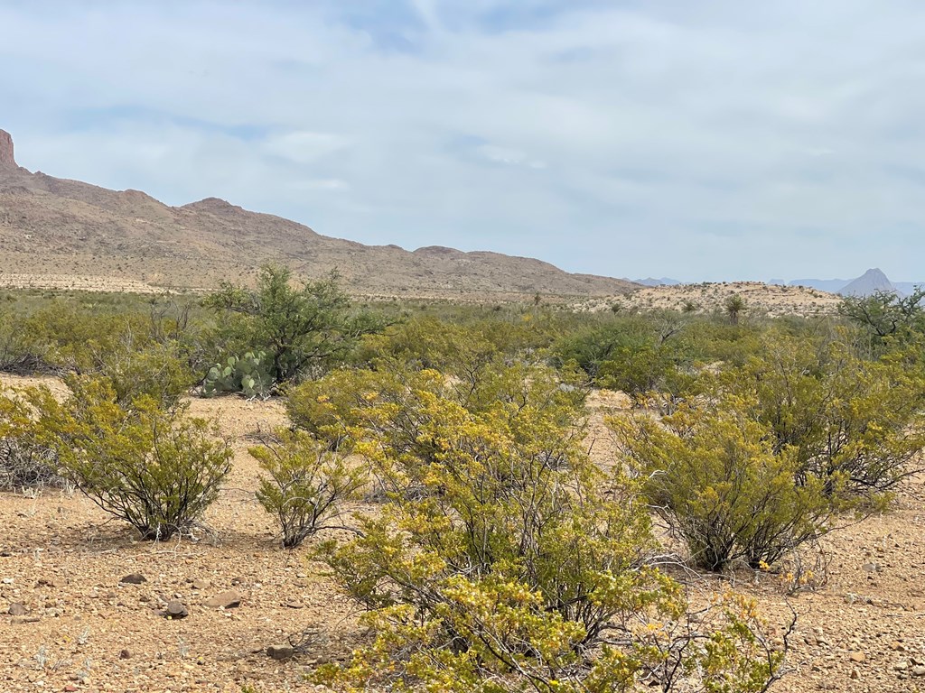 TR 4749 Private Rd, Terlingua, Texas image 3