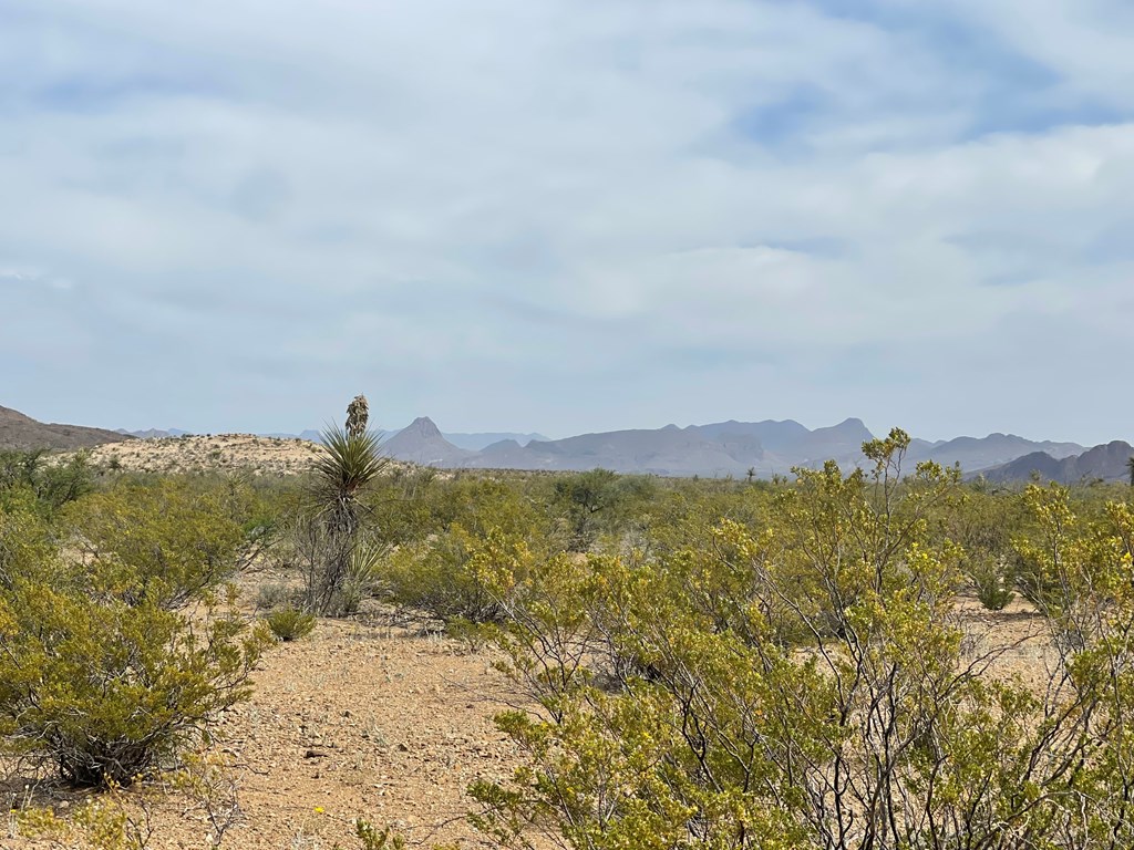 TR 4749 Private Rd, Terlingua, Texas image 14