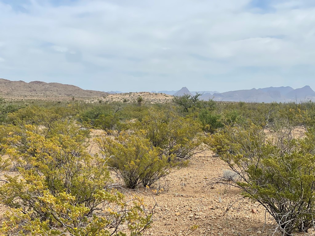 TR 4749 Private Rd, Terlingua, Texas image 10