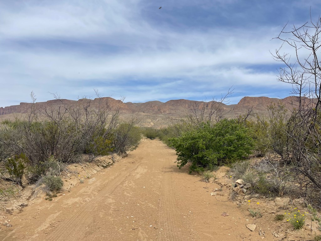 TR 4749 Private Rd, Terlingua, Texas image 20