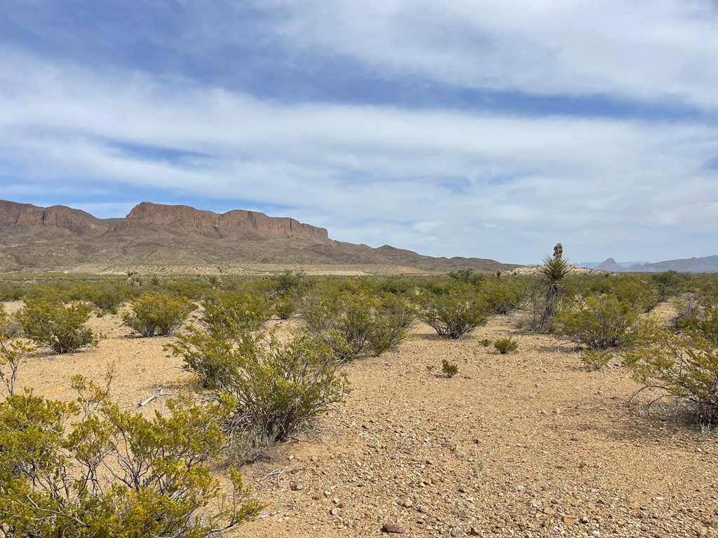 TR 4749 Private Rd, Terlingua, Texas image 12