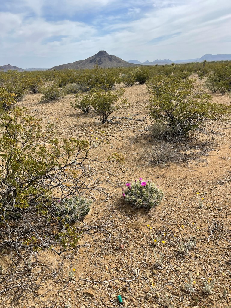 TR 4749 Private Rd, Terlingua, Texas image 18