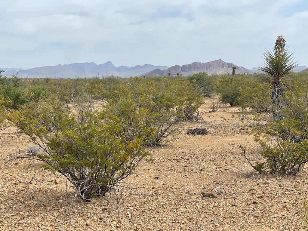 TR 4749 Private Rd, Terlingua, Texas image 6