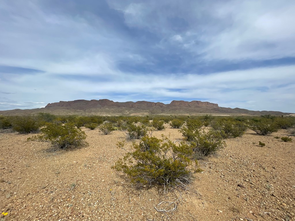 TR 4749 Private Rd, Terlingua, Texas image 11