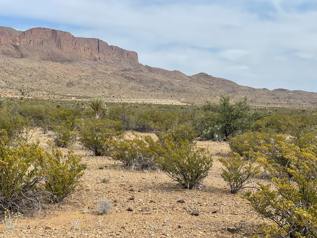 TR 4749 Private Rd, Terlingua, Texas image 2