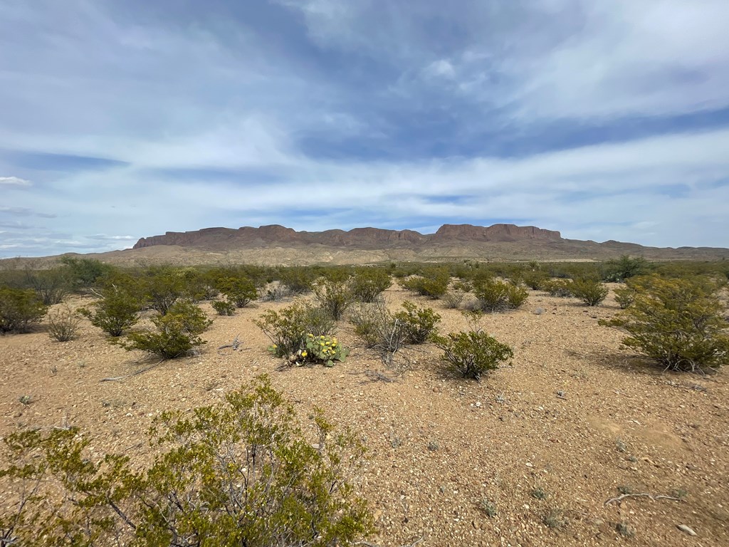 TR 4749 Private Rd, Terlingua, Texas image 8