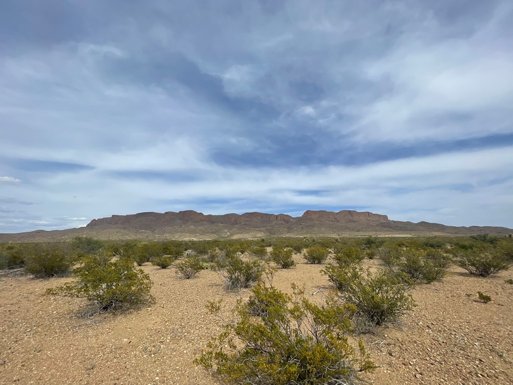 TR 4749 Private Rd, Terlingua, Texas image 5